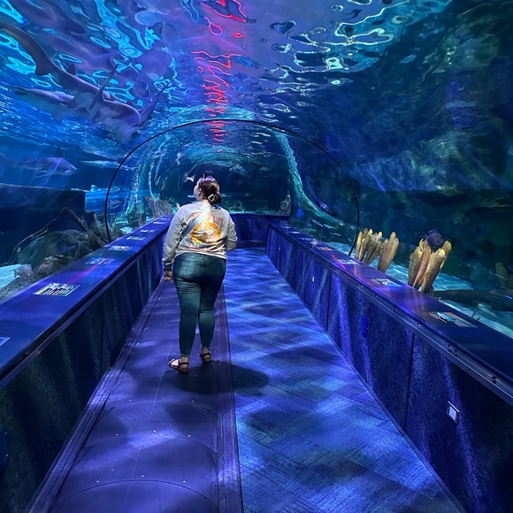 Meet your Posher, Brandon - Picture 4 of 9